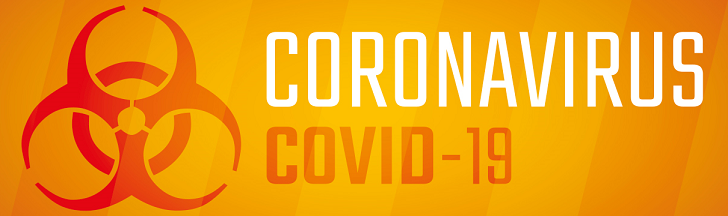 CoronavrusOnLine.pt